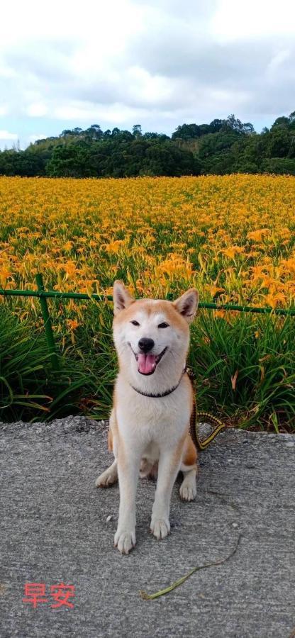池上米乡小栈公寓 外观 照片