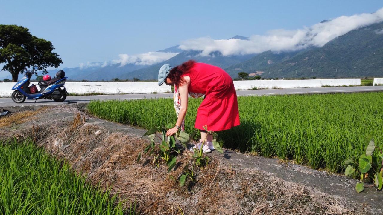 池上米乡小栈公寓 外观 照片